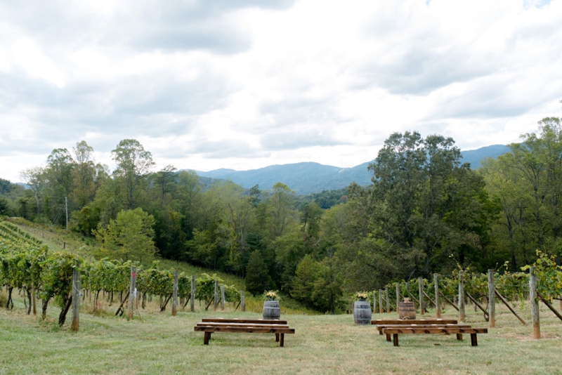 A Romantic North Carolina Vineyard Wedding via TheELD.com