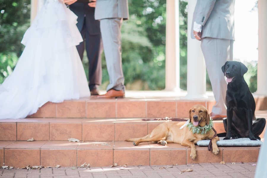 Classic Blush & Lavender Texas Wedding via TheELD.com