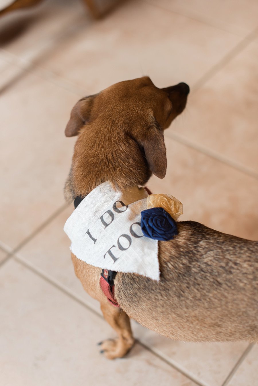 A Navy & Red Rustic Central Florida Wedding via TheELD.com