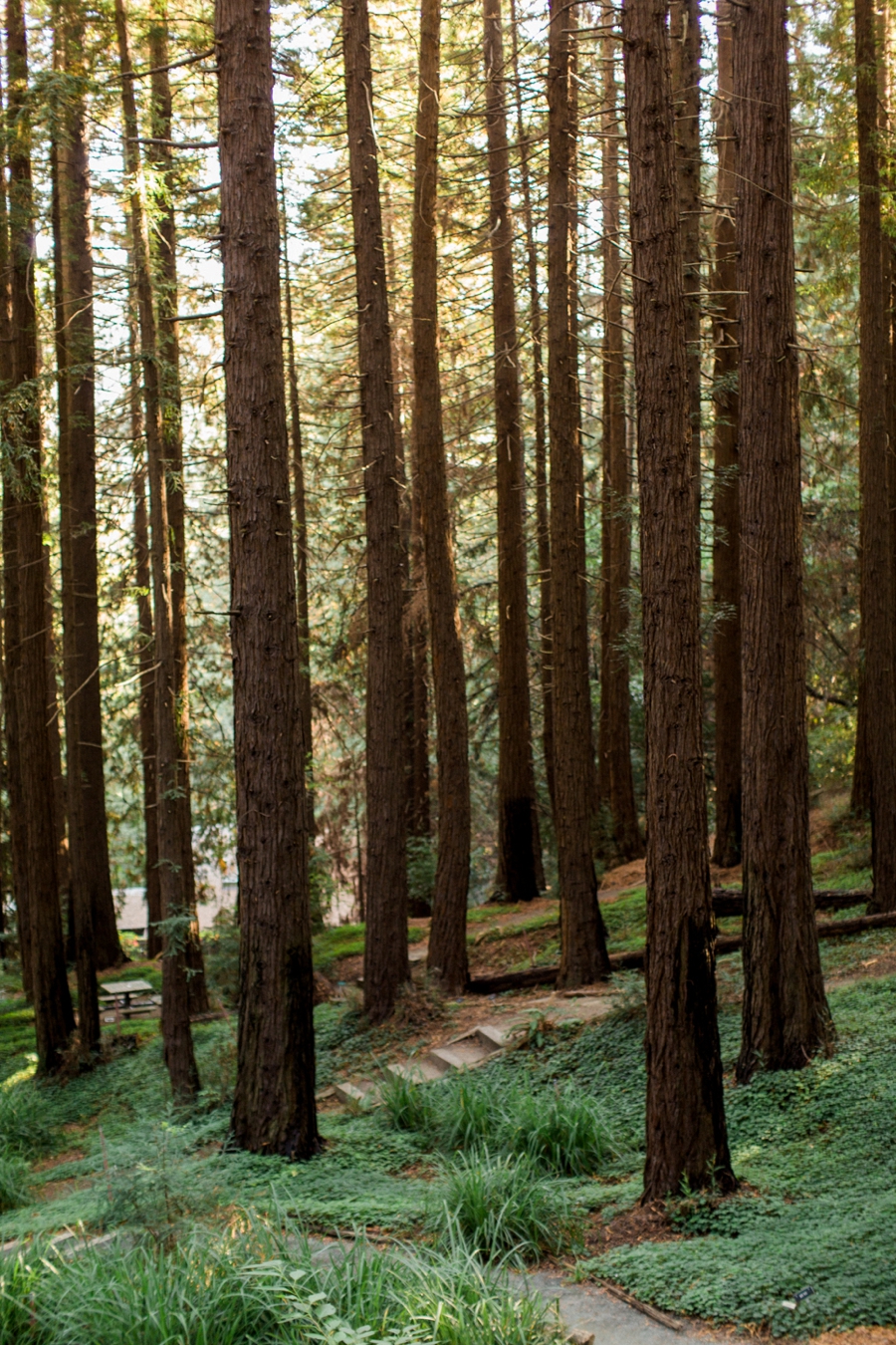 A Colorful Northern California Wedding via TheELD.com