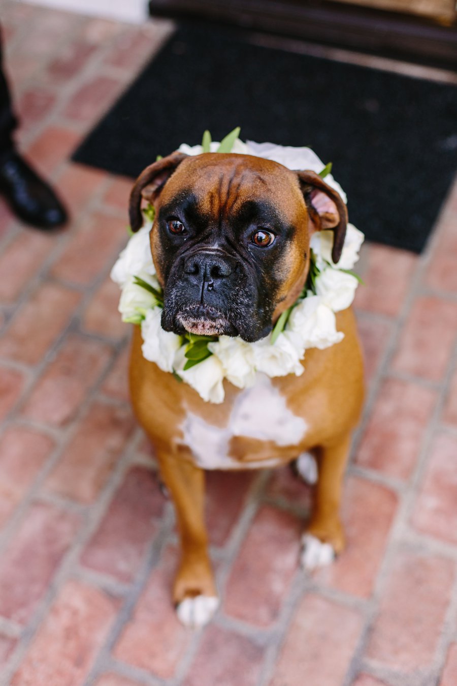 An Intimate Green & White Los Angeles Wedding via TheELD.com