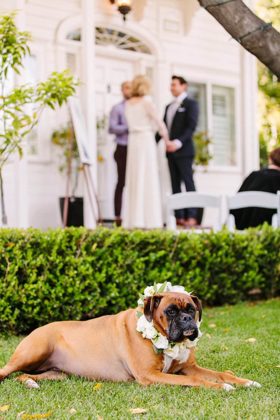 An Intimate Green & White Los Angeles Wedding via TheELD.com