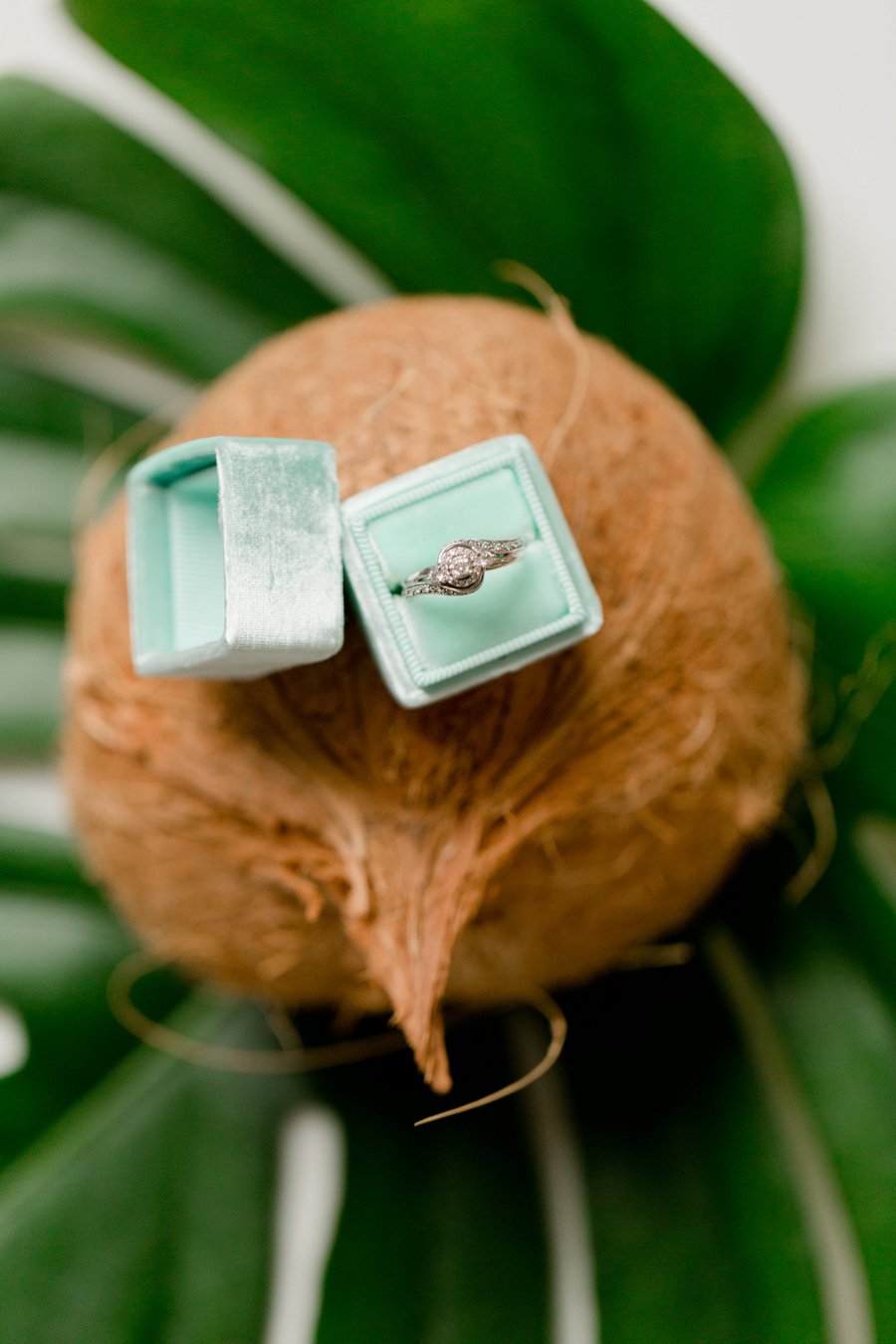 Modern & Lush Tropical Wedding Ideas via TheELD.com