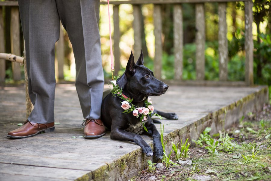 Blush, Peach, & Ivory Woodsy California Wedding via TheELD.com