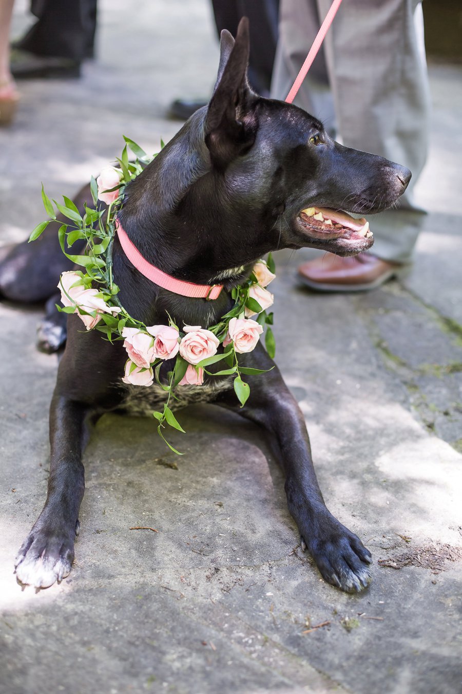 Blush, Peach, & Ivory Woodsy California Wedding via TheELD.com