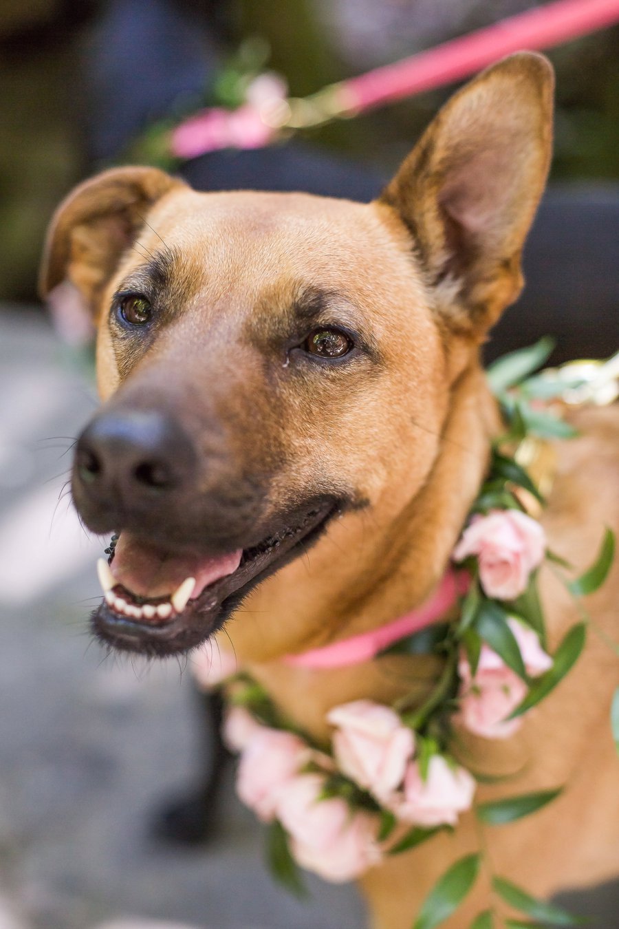 Blush, Peach, & Ivory Woodsy California Wedding via TheELD.com