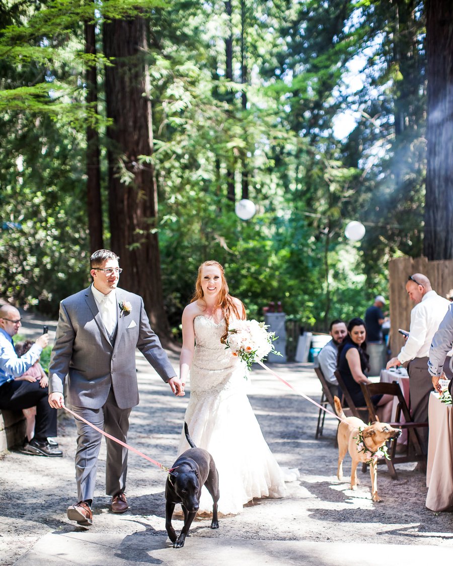 Blush, Peach, & Ivory Woodsy California Wedding via TheELD.com