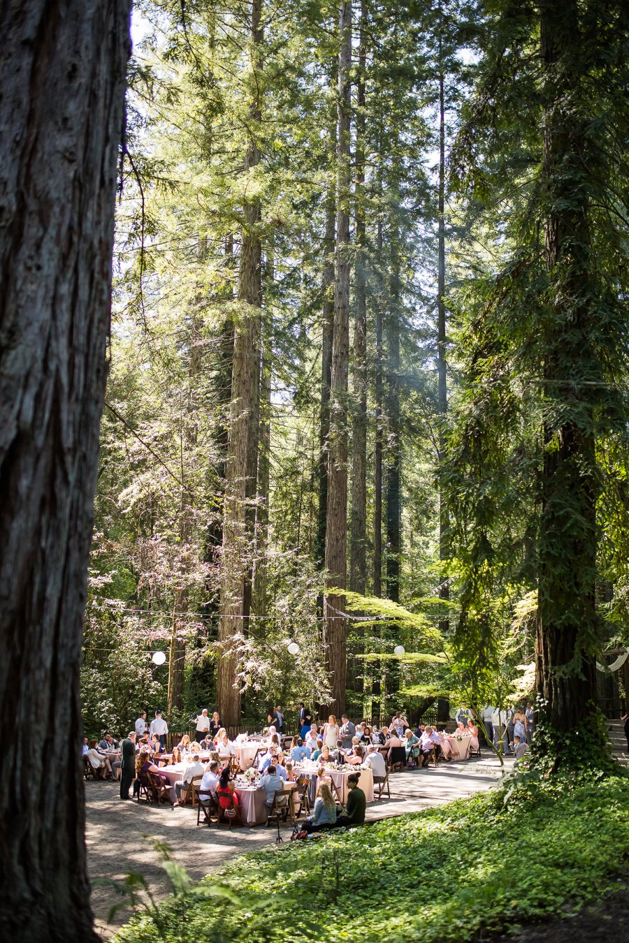 Blush, Peach, & Ivory Woodsy California Wedding via TheELD.com