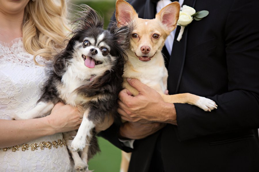 An Elegant Pink & Champagne Florida Wedding via TheELD.com