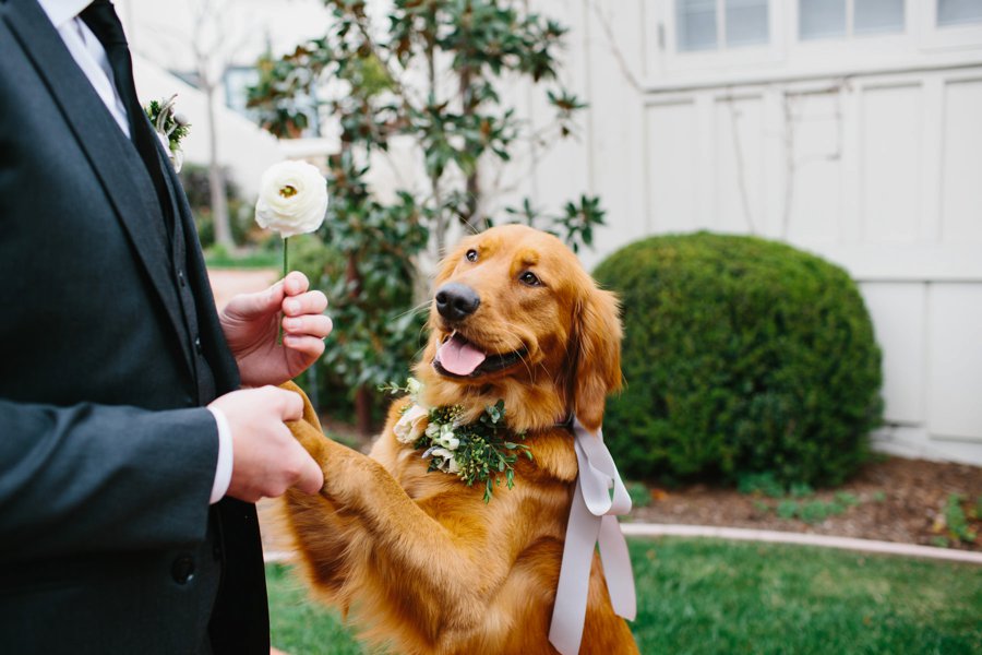 An Understated & Elegant California Wedding via TheELD.com