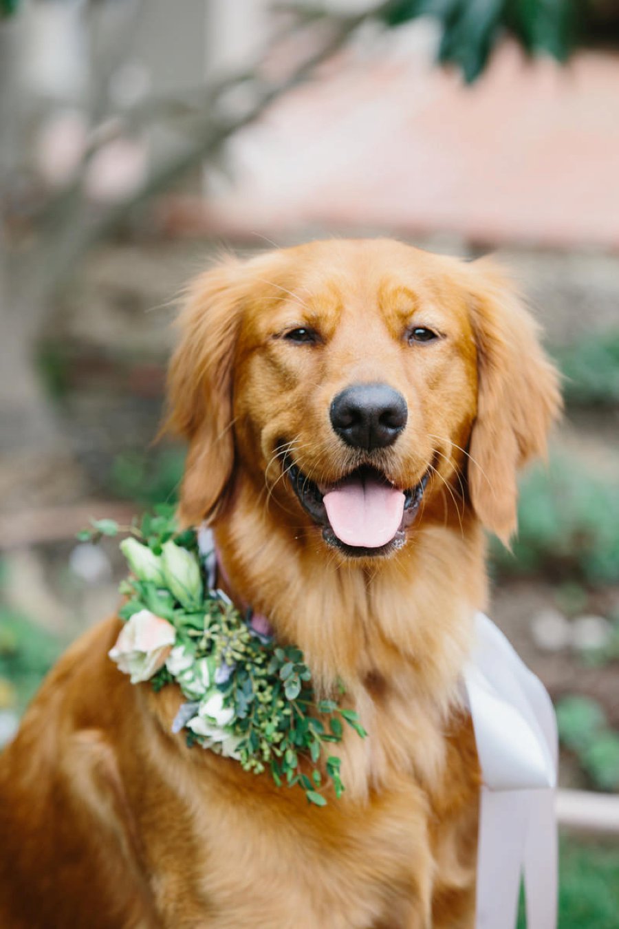 An Understated & Elegant California Wedding via TheELD.com