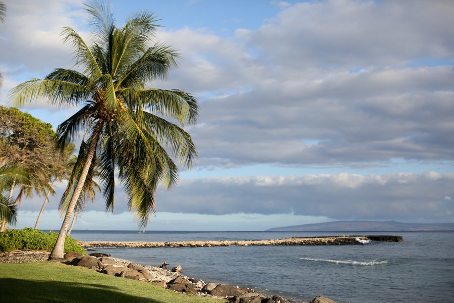 A Rustic Blush & White Intimate Maui Destination Wedding via TheELD.com