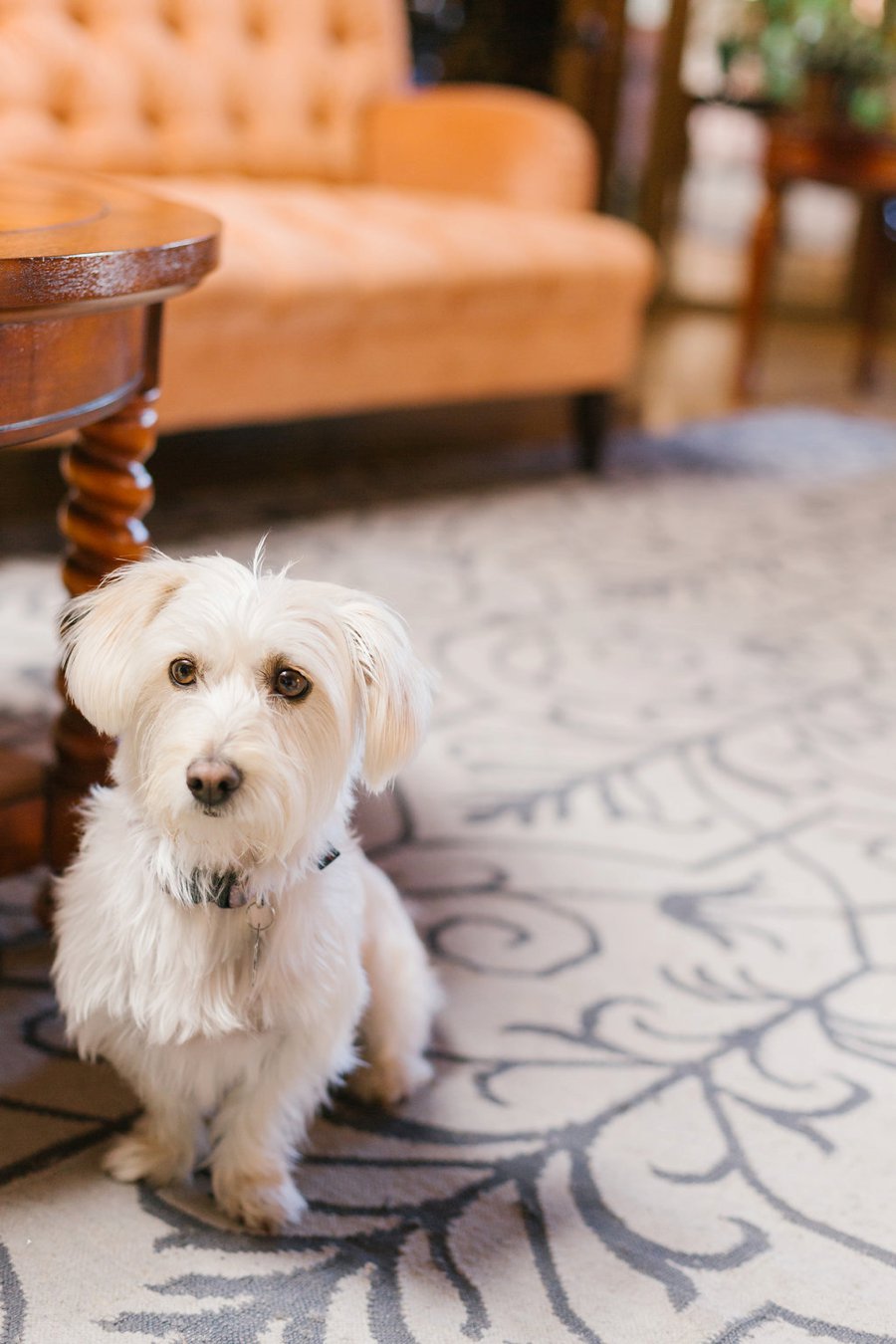 An Industrial Soft Blue & White Los Angeles Wedding via TheELD.com