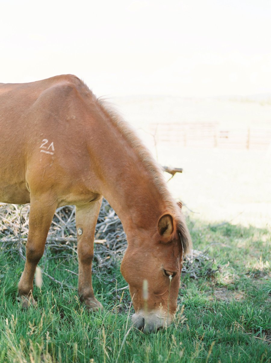 A Burgundy & Blush Elegant Rustic Colorado Wedding via TheELD.com