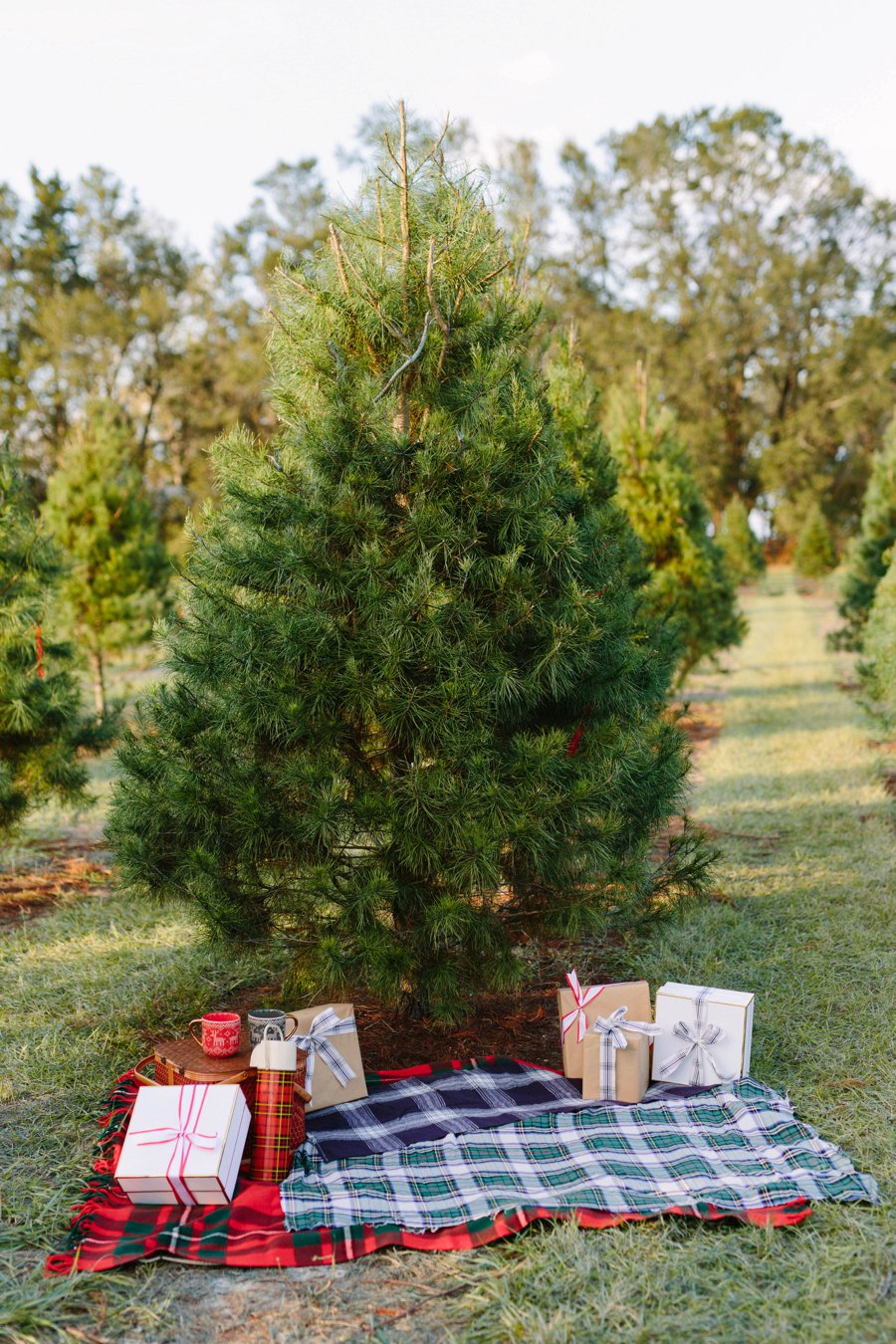 Christmas Tree Farm Surprise Proposal via TheELD.com