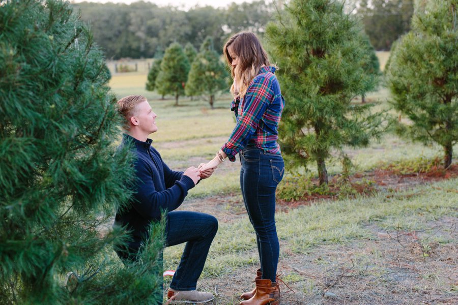 Christmas Tree Farm Surprise Proposal via TheELD.com