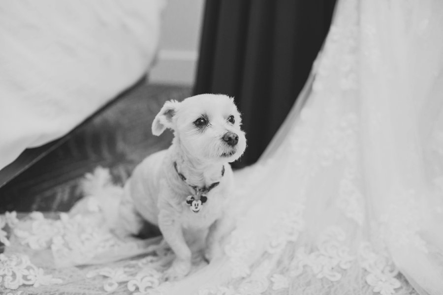 A Timeless Bright Pink, White, & Gold Los Angeles Wedding via TheELD.com