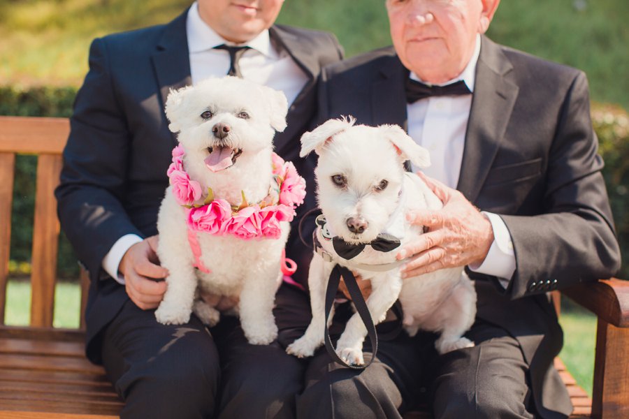 A Timeless Bright Pink, White, & Gold Los Angeles Wedding via TheELD.com