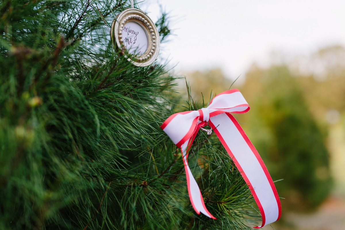 3 Proposal Ideas For The Holidays via TheELD.com