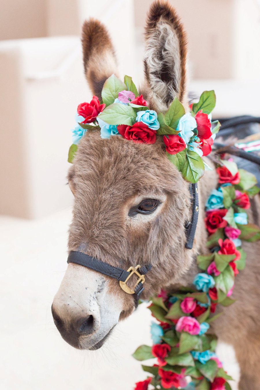 An Eclectic Fiesta inspired Arizona Wedding Day via TheELD.com