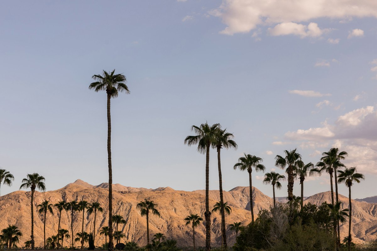 Vibrant Jungle Inspired Palm Springs Wedding via TheELD.com