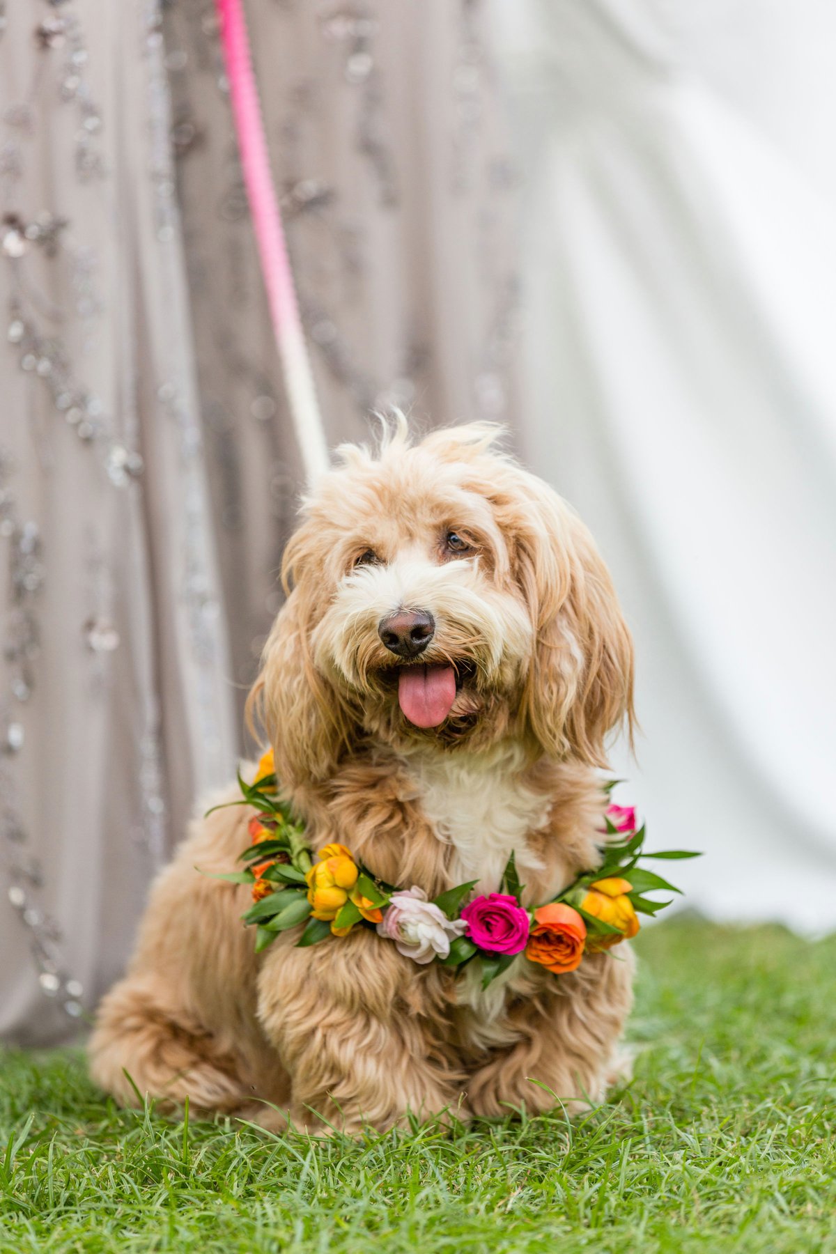 Vibrant Jungle Inspired Palm Springs Wedding via TheELD.com