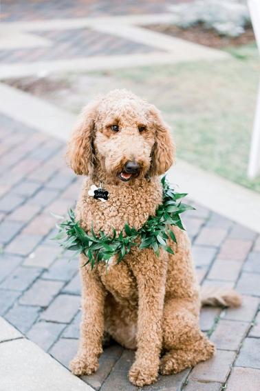 A Classic St. Petersburg Wedding with 1920s Style via TheELD.com